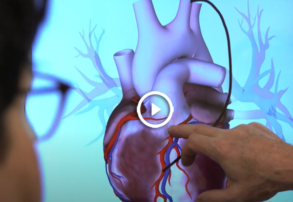 Treating AFib: Exploring Traditional and Pulsed Field Ablation