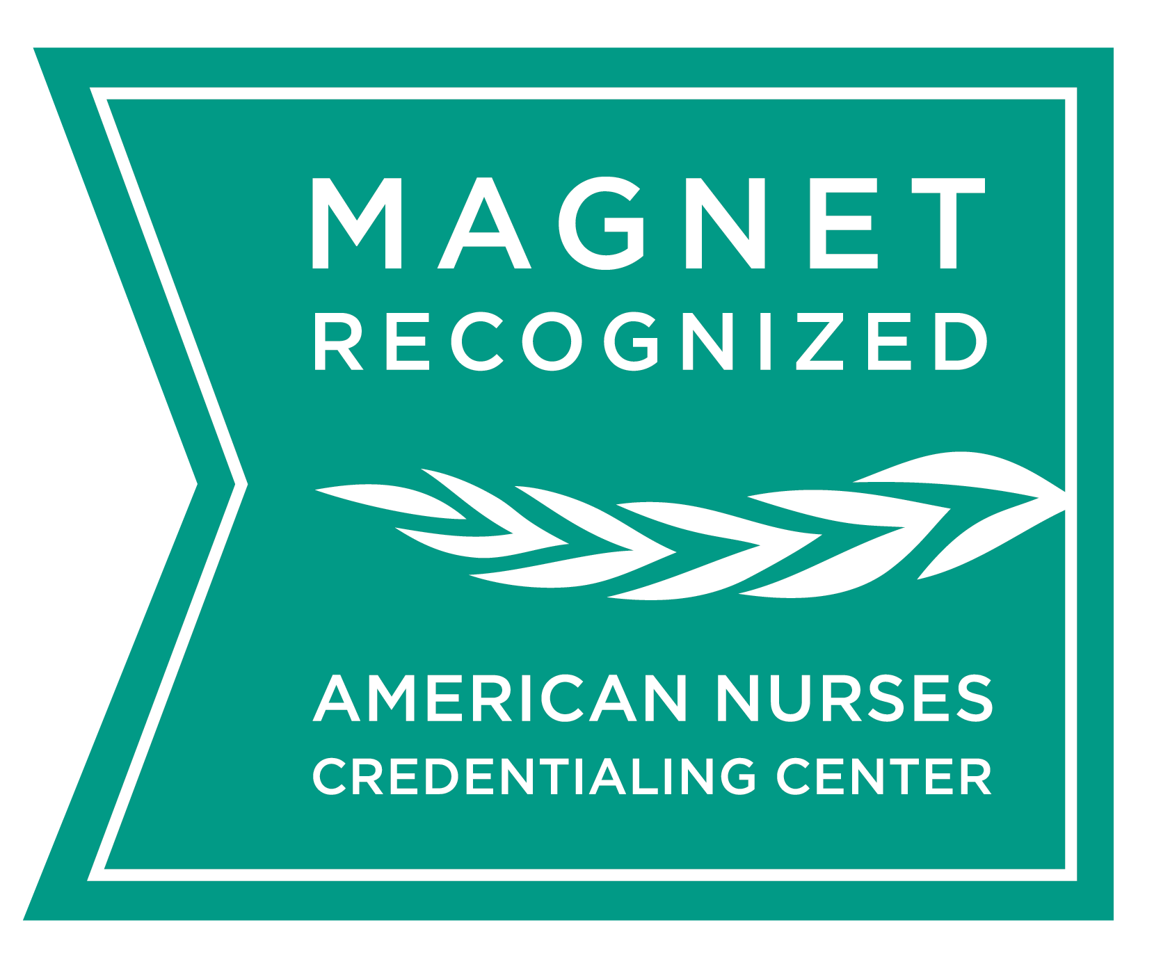 Magnet-Best Nurses-CHI St. Vincent Infirmary